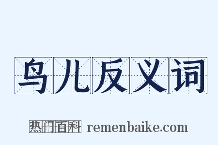 鸟儿反义词是什么意思的图片